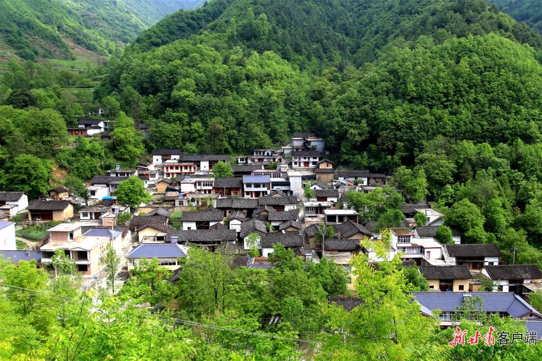 【高質量發展調研行】村景這邊獨好 ——隴南市積極探索農文旅深度融合發展路徑